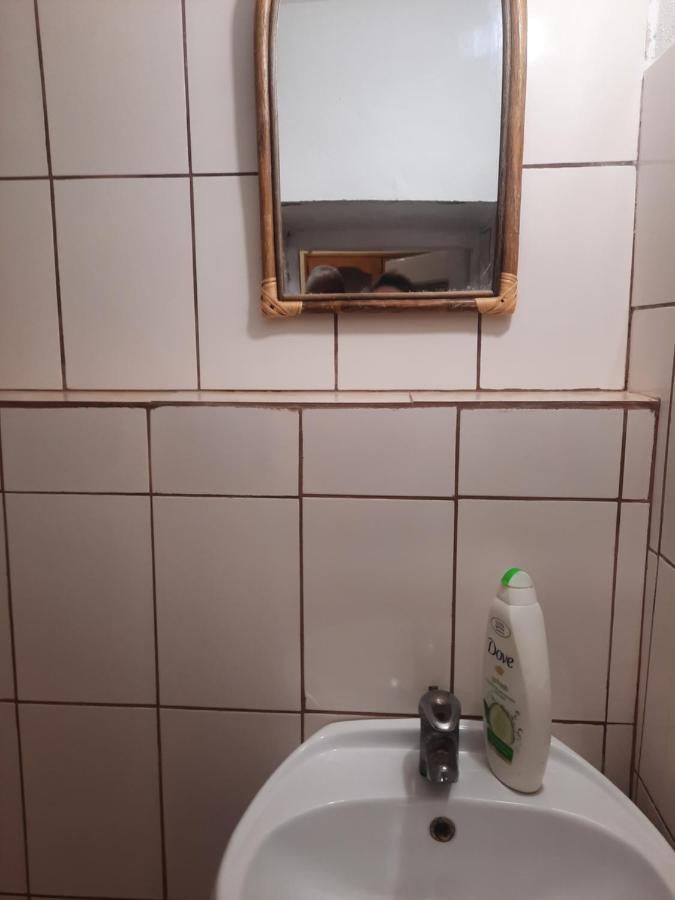 Apartament Pe Malul Raului Bega Timisoara Exterior photo